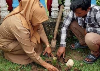 Mahasiswa KKN UIN SUTHA Tanam Bibit Pohon di Desa Teluk Tigo (Dok.istimewa)