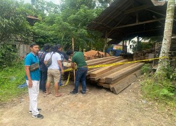 Lokasi tempat penyimpanan Ilegal Logging di desa tangkit (dok Istimewa)